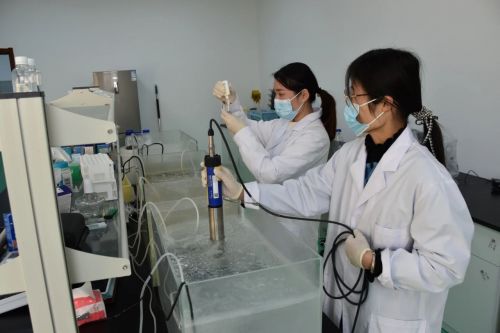 海璟水產(chǎn)榮獲全國(guó)水產(chǎn)綠色健康“五大行動(dòng)”基地稱號(hào)，科技賦能引領(lǐng)行業(yè)變革